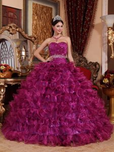 Púrpura Vestido De Fiesta Dulceheart Hasta El Suelo Organdí Bordado Vestido De Quinceañera