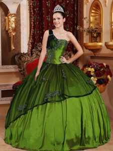 Verde Oliva Vestido De Fiesta Un Sólo Hombro Tafetán Y Organdí Bordado Y Vestido De Quinceañera