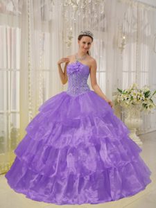 Púrpura Vestido De Fiesta Estrapless Hasta El Suelo Tafetán Y Organdí Bordado Vestido De Quinceañera