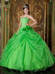 Verde De La Primavera Vestido De Fiesta Estrapless Hasta El Suelo Organdí Bordado Vestido De Quinceañera