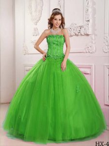 Elegante Vestido De Fiesta Estrapless Hasta El Suelo Tul Bordado Verde De La Primavera Vestido De Quinceañera