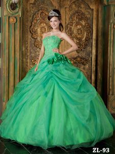 Verde Vestido De Fiesta Estrapless Hasta El Suelo Organdí Bordado Vestido De Quinceañera