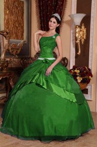 Verde Vestido De Fiesta Un Sólo Hombro Hasta El Suelo Organdí Bordado Vestido De Quinceañera