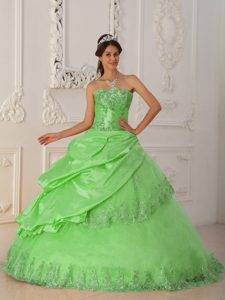 Verde De La Primavera Corte A / Princesa Dulceheart Hasta El Suelo Tafetán Y Tul Bordado Vestido De Quinceañera