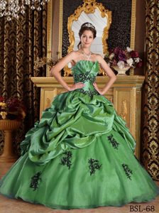 Verde Corte A / Princesa Estrapless Hasta El Suelo Organdí Vestido De Quinceañera