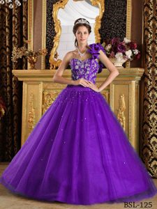 Púrpura Corte A / Princesa Un Sólo Hombro Hasta El Suelo Tul Bordado Vestido De Quinceañera