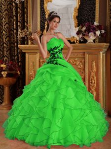 Verde Vestido De Fiesta Dulceheart Hasta El Suelo Organdí Vestido De Quinceañera