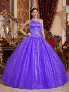 Púrpura Vestido De Fiesta Un Sólo Hombro Hasta El Suelo Tul Y Tafetán Bordado Vestido De Quinceañera