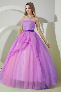 Púrpura Corte A / Princesa Estrapless Hasta El Suelo Organdí Bordado Y Bordado Paseo Vestido