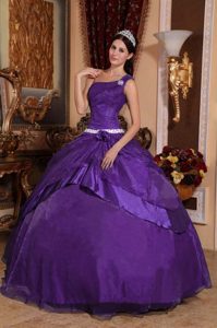 Púrpura Oscuro Vestido De Fiesta Un Sólo Hombro Hasta El Suelo Organdí Bordado Vestido De Quinceañera