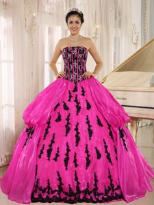 Caliente Rosa 2015 New Arrival Strapkess Bordado Decorate para Vestido De Quinceañera