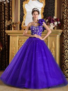 Púrpura Corte A / Princesa Un Sólo Hombro Hasta El Suelo Tul Bordado Vestido De Quinceañera