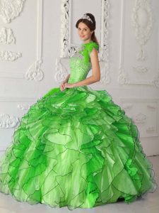 Verde Vestido De Fiesta Estrapless Hasta El Suelo Satén Y Organdí Bordado Vestido De Quinceañera
