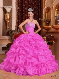 Rosa Rosa Vestido De Fiesta Estrapless Hasta El Suelo Organdí Bordado Y Vestido De Quinceañera