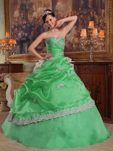 Verde Vestido De Fiesta Dulceheart Hasta El Suelo Organdí Vestido De Quinceañera