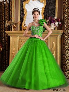 Verde Corte A / Princesa Un Sólo Hombro Hasta El Suelo Tul Bordado Vestido De Quinceañera